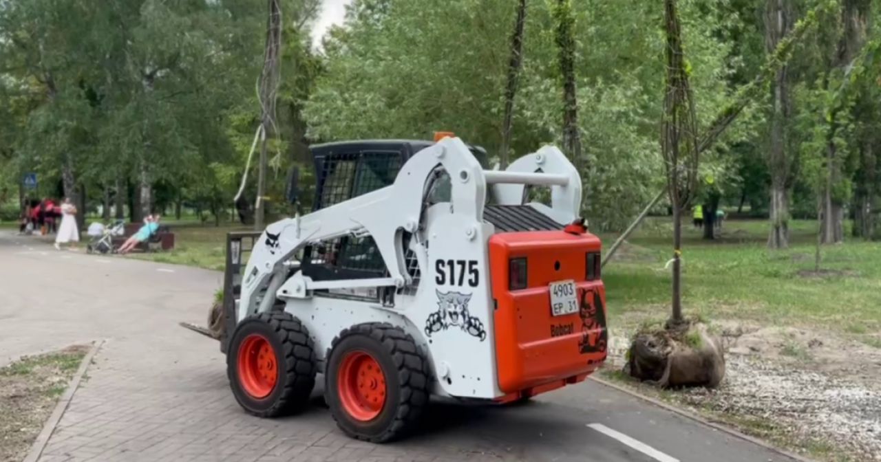 В парке Победы высадили еще 20 молодых деревьев