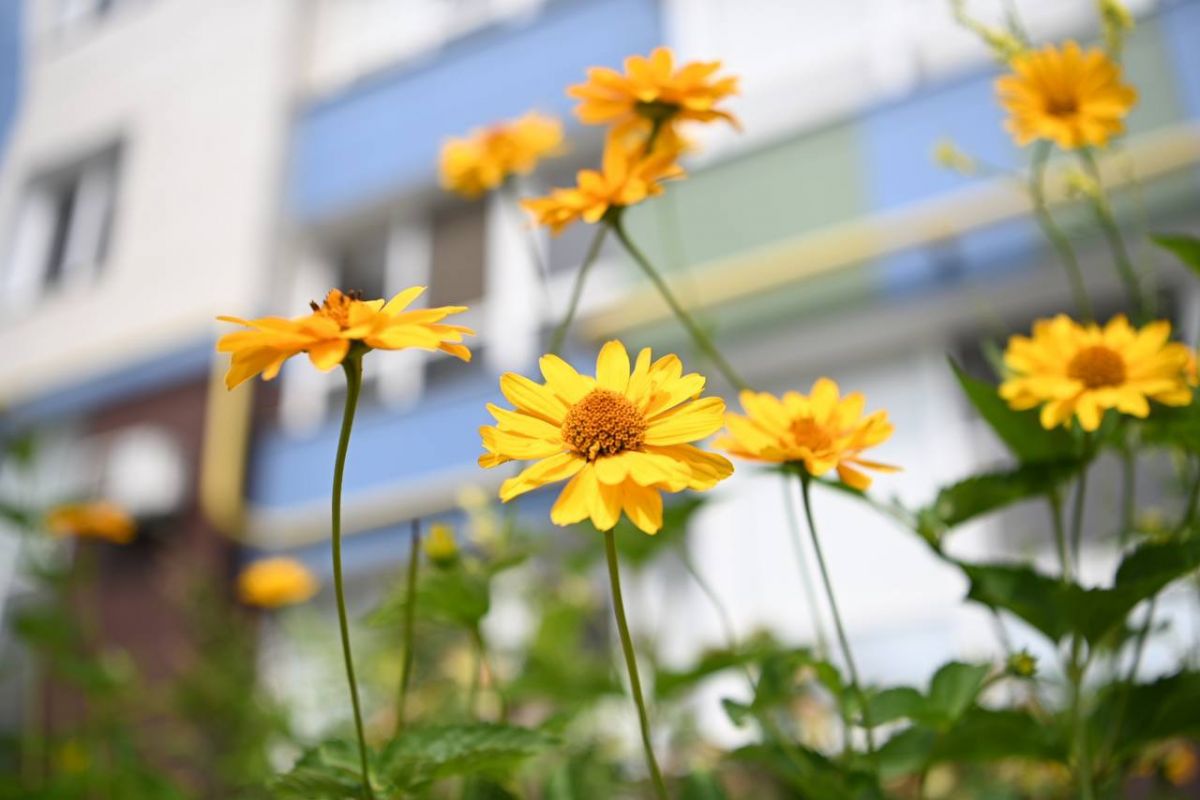 В Белгороде две семьи с особенными детьми получили квартиры