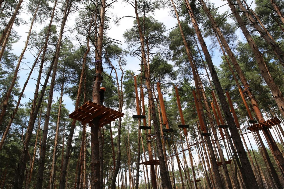 Белгородцы просят установить тренажеры и оборудовать пляж в Пикник-парке