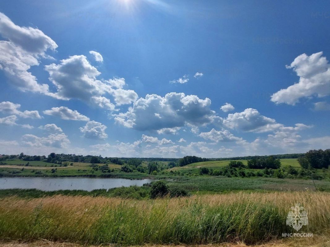 Белгородцев предупреждают о небывалой жаре