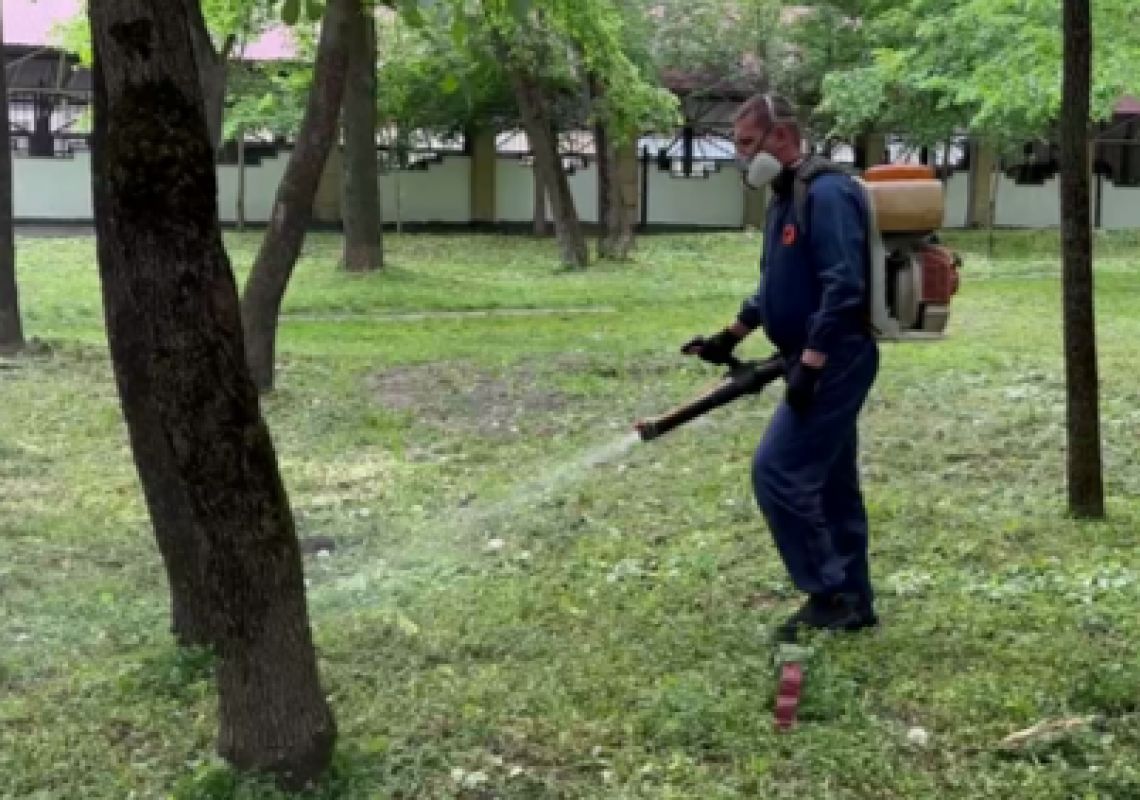 В Белгороде будут снова травить клещей