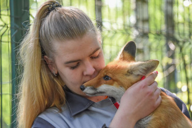 В Белгородском зоопарке можно увидеть лисят и волчат, которые родились этой весной