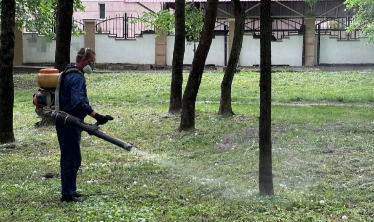В парках Белгорода будут травить клещей
