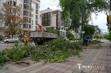 Белгородка: «Ветер рвал на части деревья в парке»
