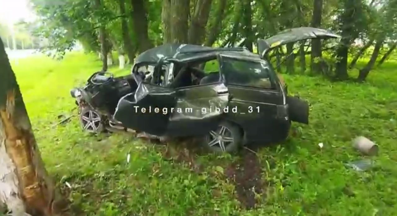 В Белгородской области машину намотало на дерево