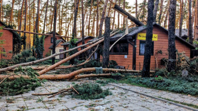 В Масловой Пристани деревья сломались и завалили базу отдыха