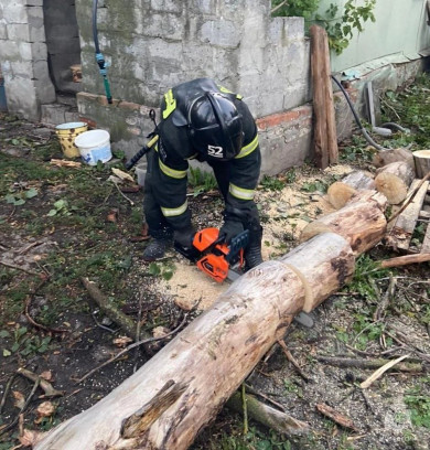В Белгородской области ветер повалил больше 70 деревьев