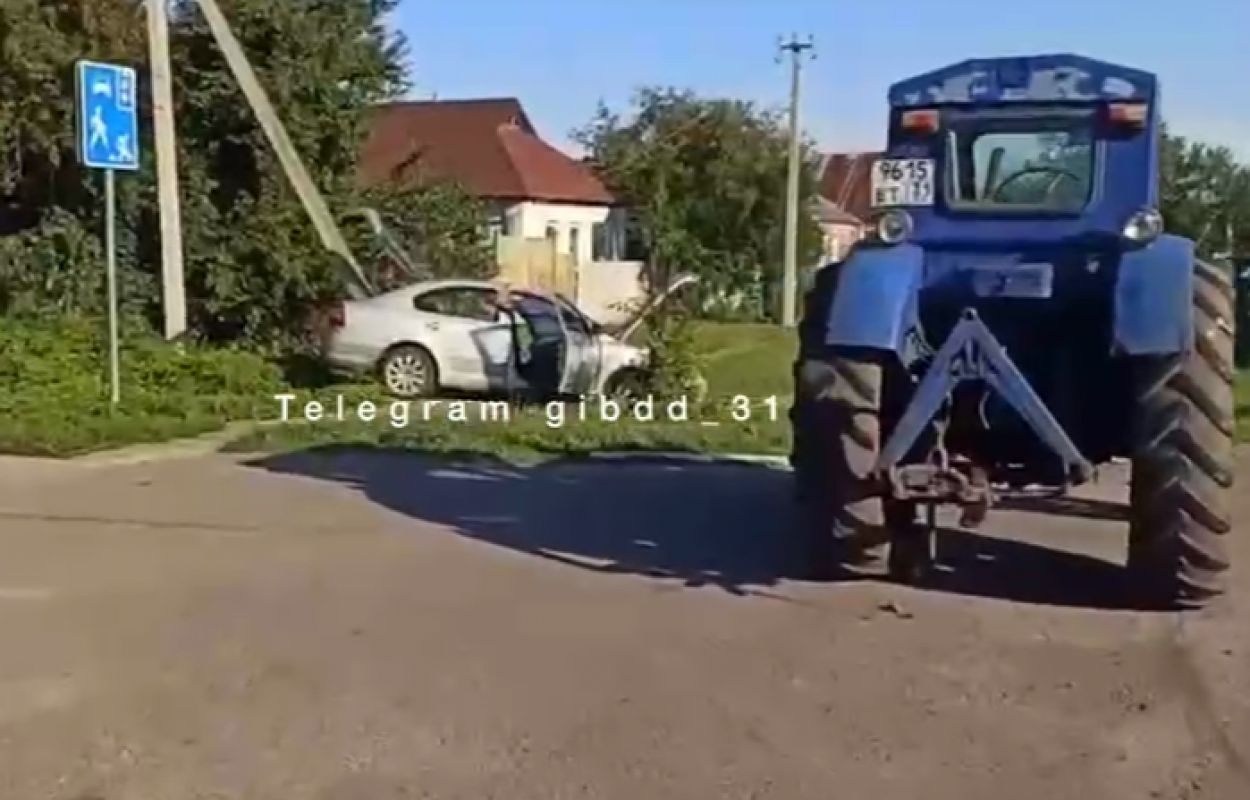 В Борисовке легковушка обгоняла трактор и влетела в столб