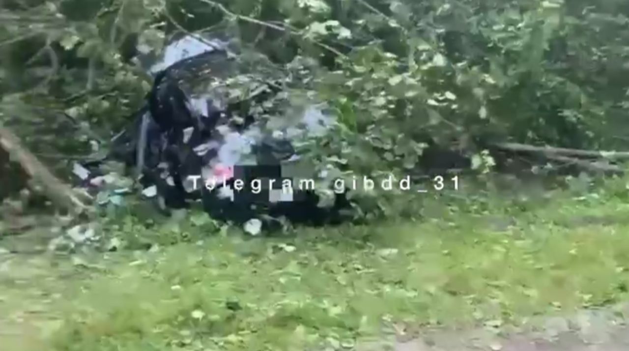 В Белгородской области разбилась компания молодежи с ребенком