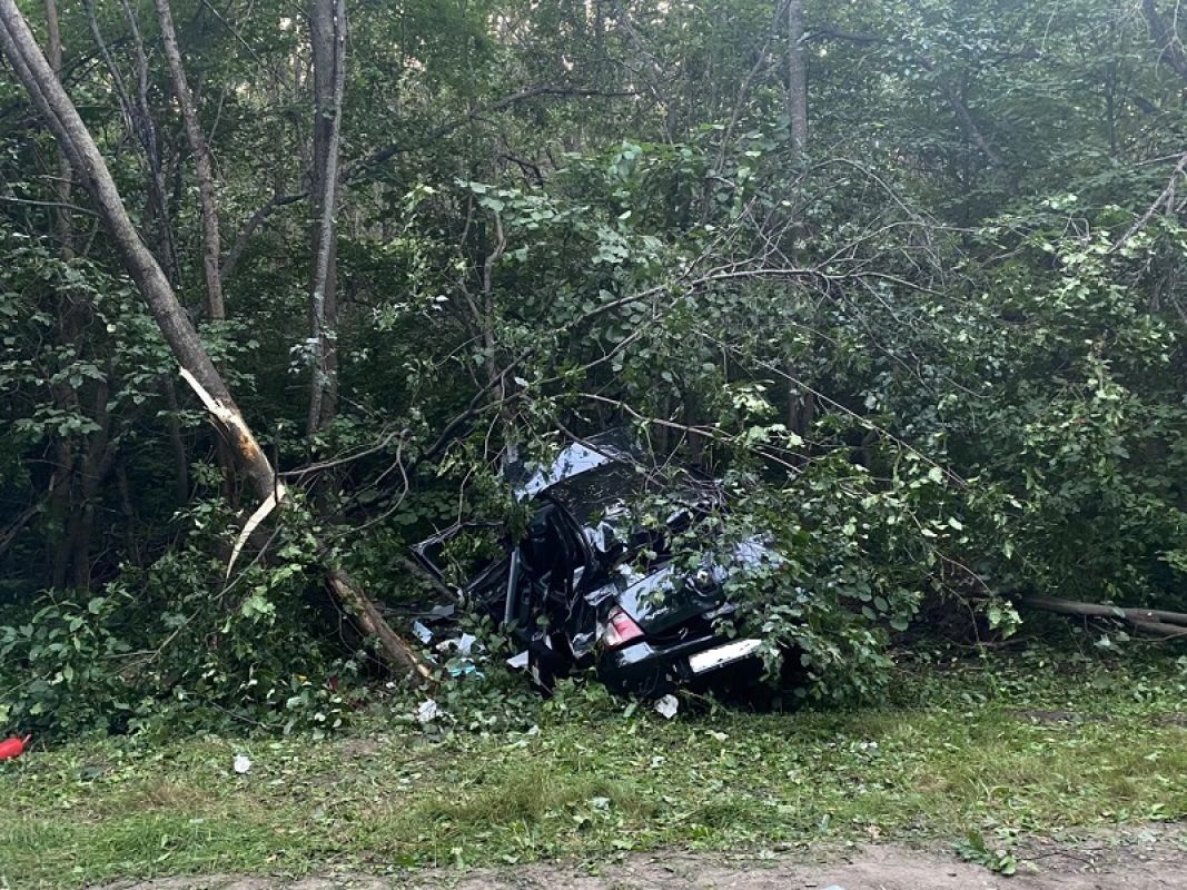 Белгородская прокуратура заинтересовалась двумя громкими авариями с детьми