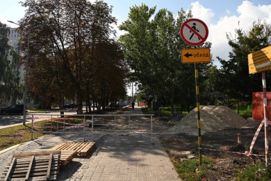 Мэр Белгорода отчитался о реконструкции Центрального парка