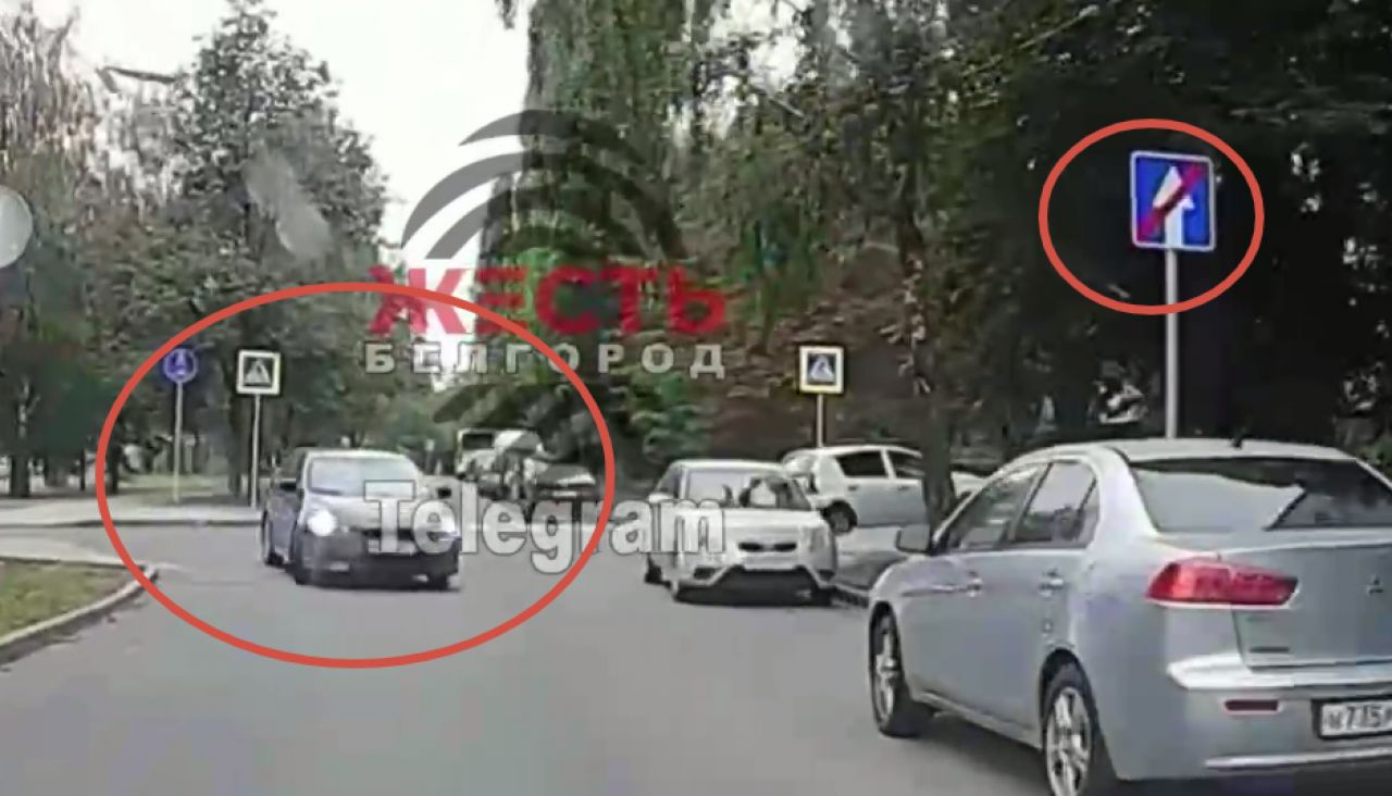 Женщину, обнаружившую одностороннюю дорогу на Харгоре, оштрафовали