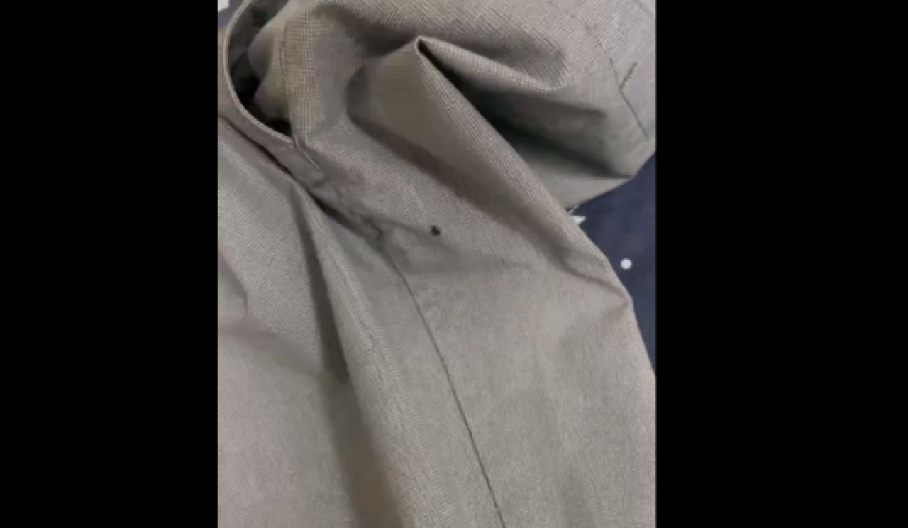 Белгородские студенты пожаловались на клоповник в общежитии