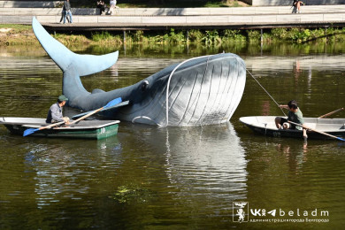 В реке в центре Белгорода поселился кит