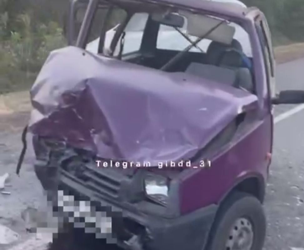 В Белгородской области лоб в лоб столкнулись «Ока» и «пятнадцатая»