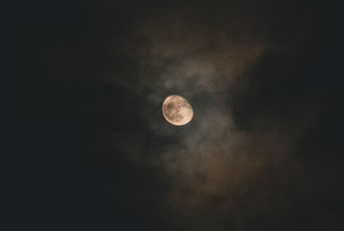 Белгородские полицейские заинтересовались стрельбой на Есенина