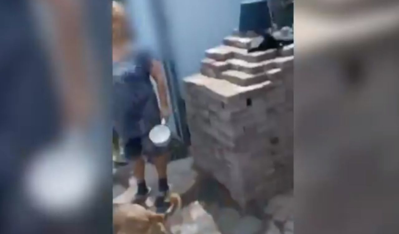 В Белгороде женщина избила соседа ковшиком за будку собаки