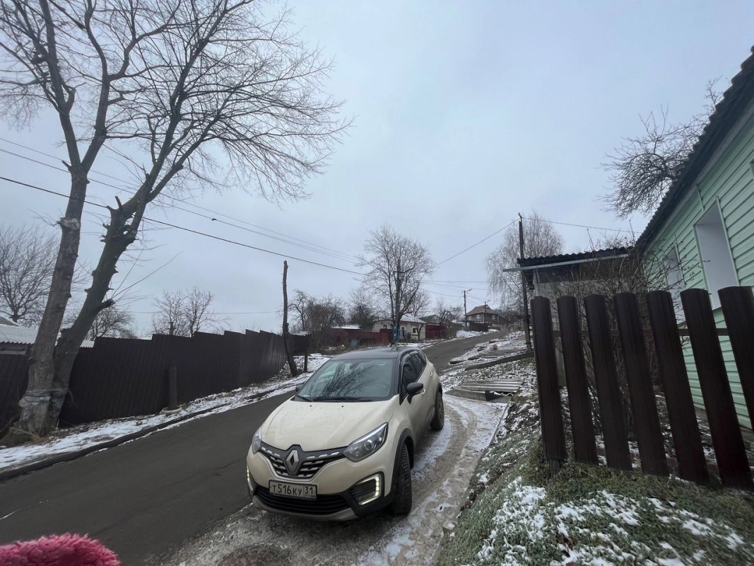 В Белгороде с 1 сентября «пилят» дерево, которое может упасть на дом&nbsp;