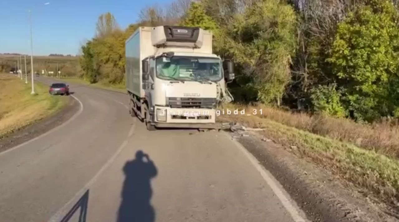 В Белгородской области грузовик столкнул с дороги легковушку