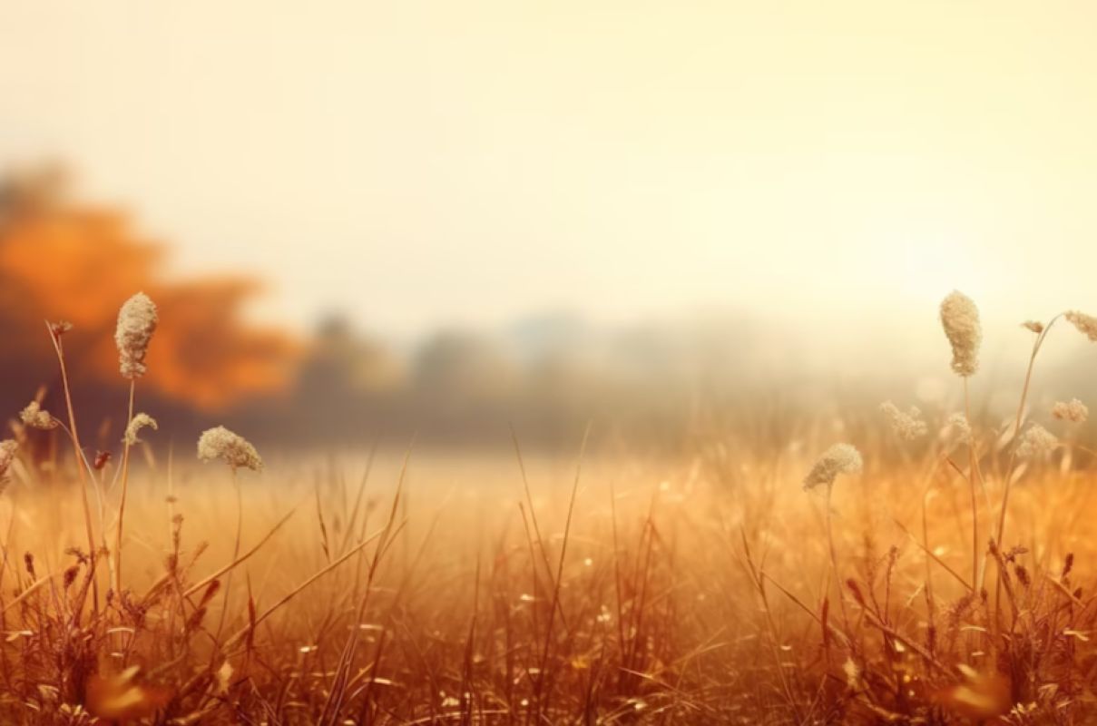 Взрыв из-за обстрела ВСУ прогремел в&nbsp;Черноземье