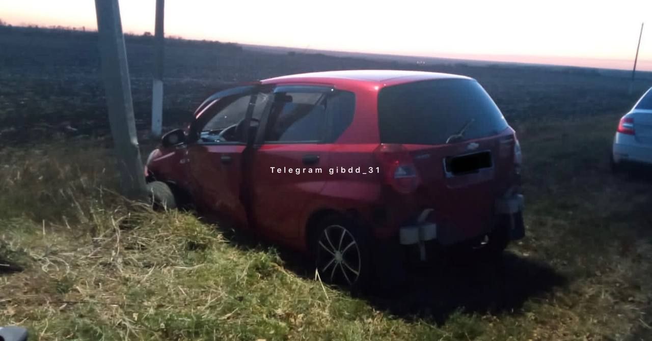 В Белгородской области девушка на иномарке врезалась в столб