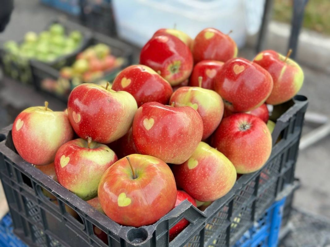 Белгородцы просят найти новое место для еженедельных ярмарок