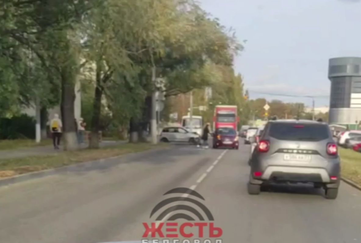 В Белгороде ДТП спровоцировало пробку за «Мега ГРИННом»