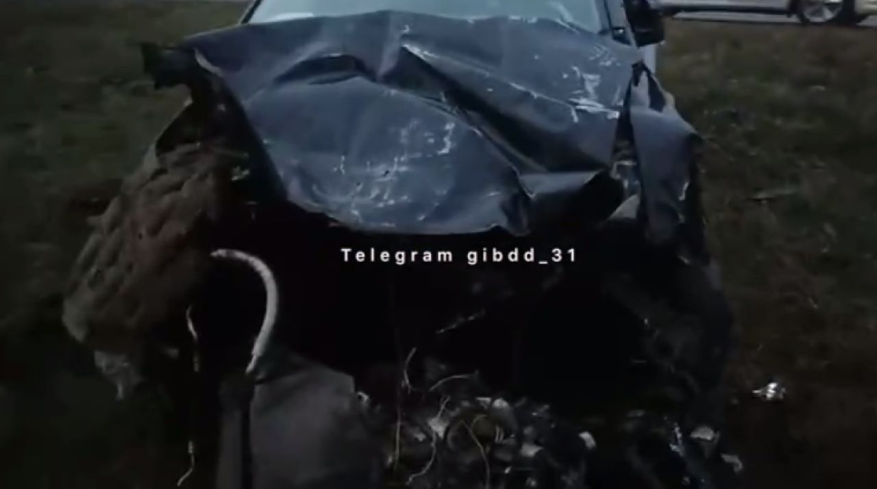 В Белгородской области иномарка врезалась в столб