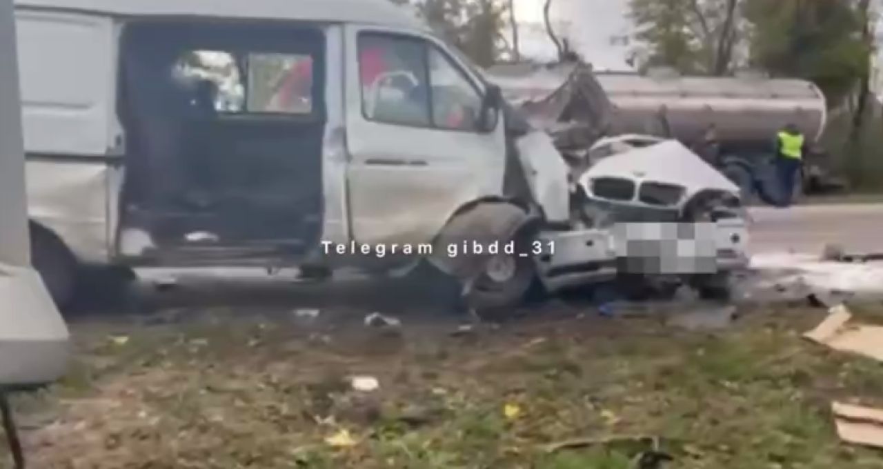 Два человека погибли в массовом ДТП в Белгородской области