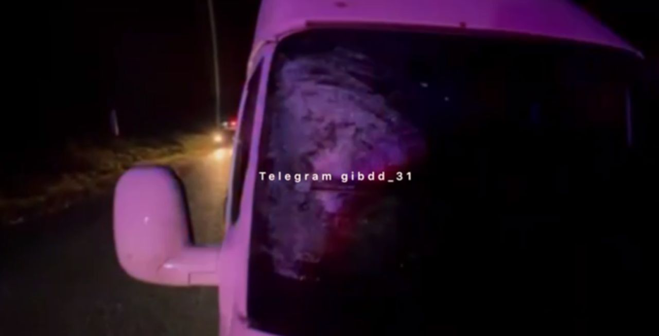 В Белгородской области микроавтобус сбил женщину