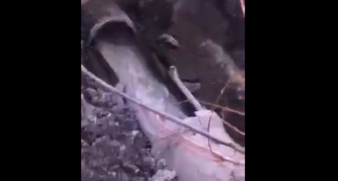 В Белгороде две улицы заливает фекалиями