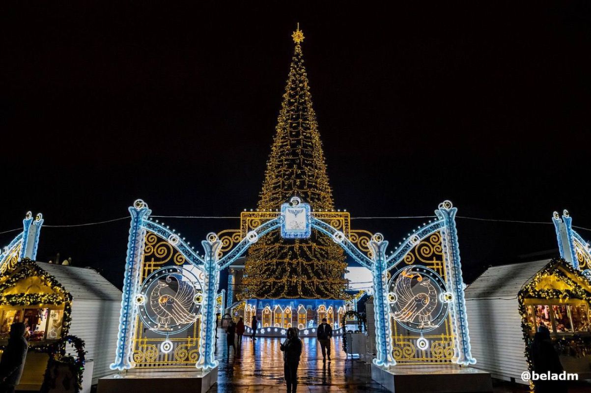 В Белгороде на Соборной площади начнут собирать ёлку