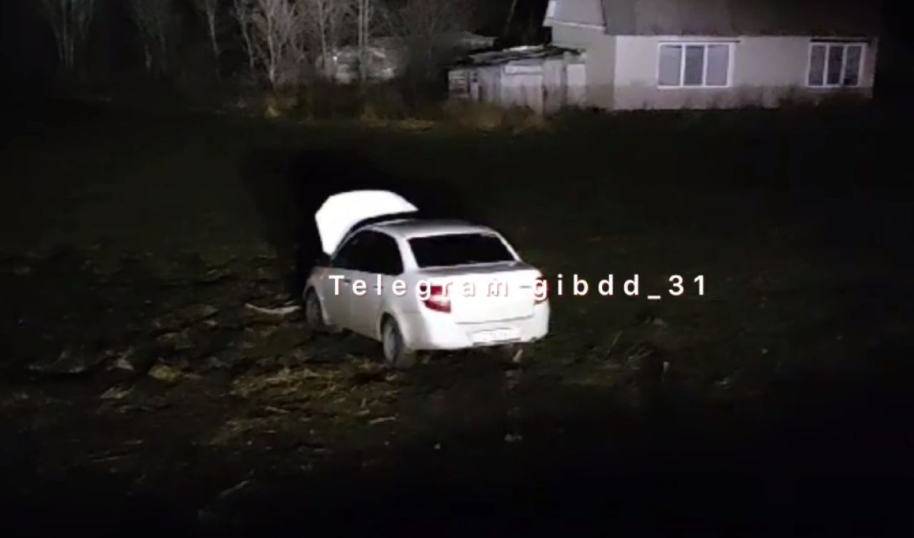 В Белгородской области на трассе перевернулась легковушка