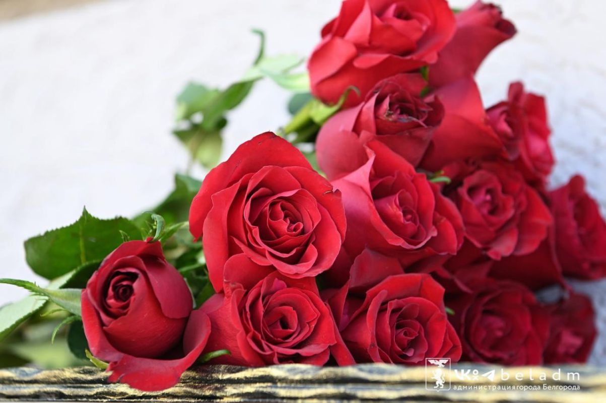 В Белгороде увековечат память погибших участников СВО