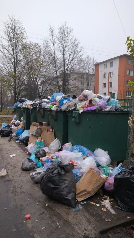 Белгородцам объяснили причину срыва сроков вывоза мусора