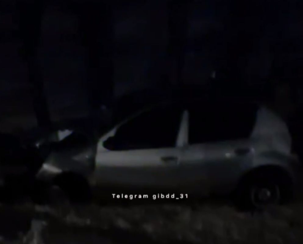 В Белгородской области пьяная женщина въехала в дерево