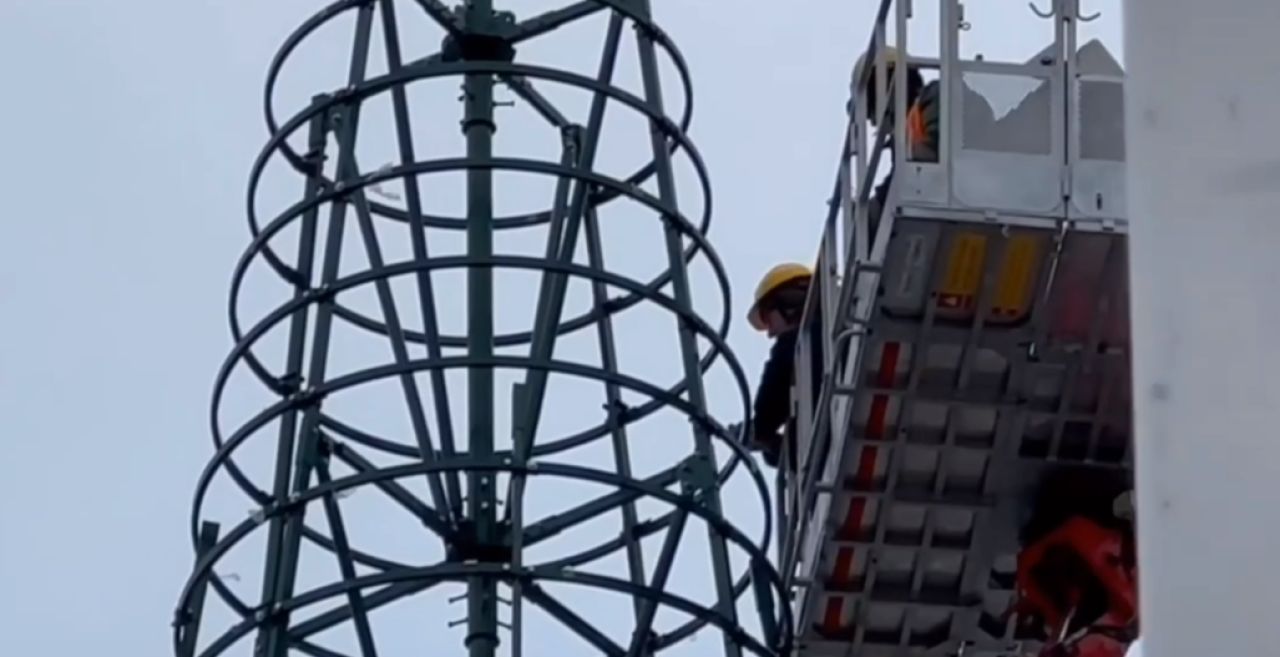 В Белгороде собрали каркас новогодней елки