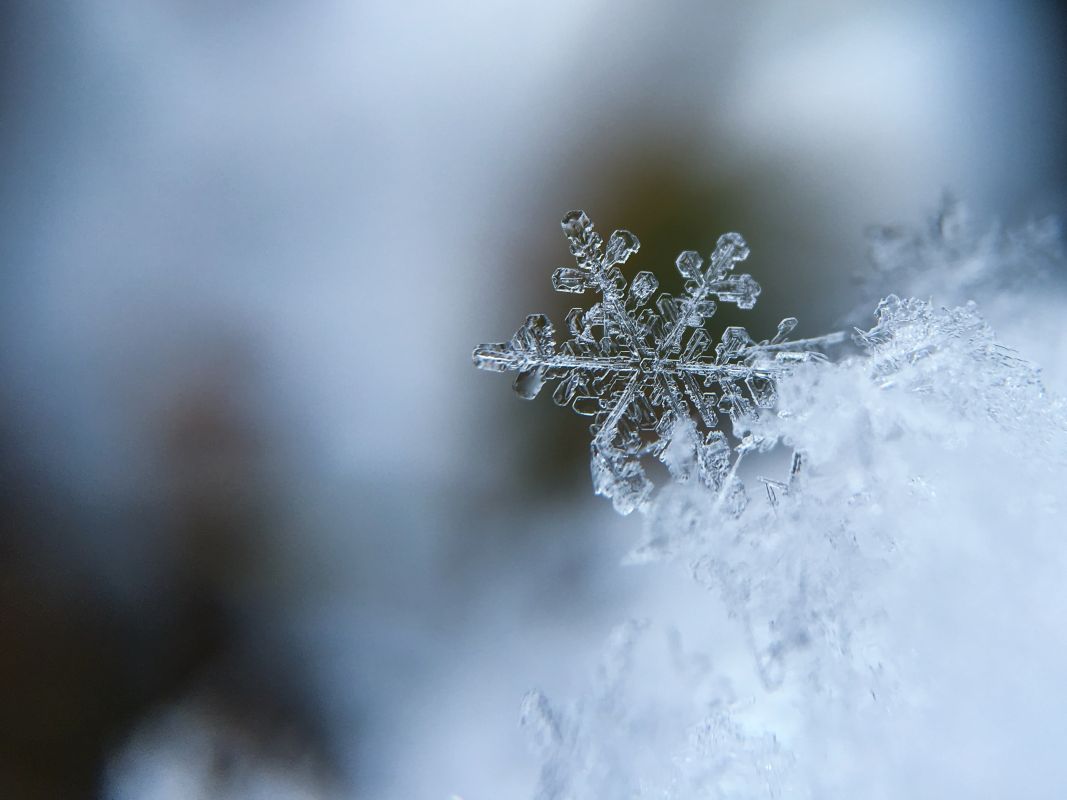Первый понедельник зимы принесет в Белгород легкий мороз и снег