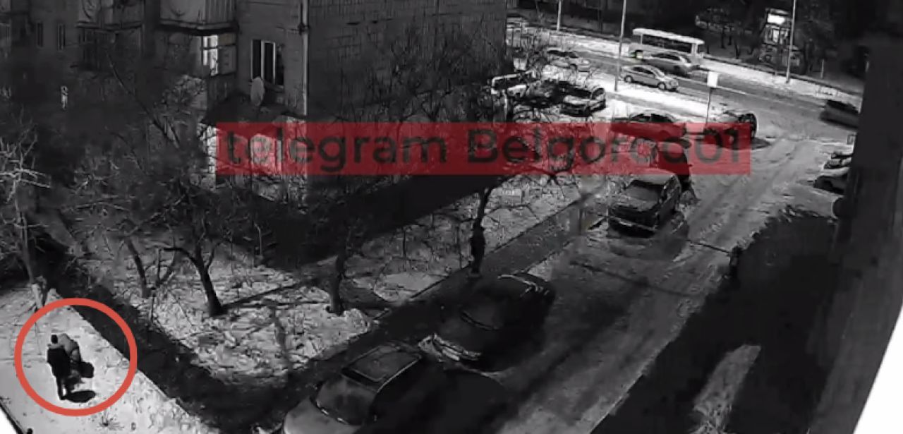 В Белгороде на Харгоре с территории двора украли живую ёлку