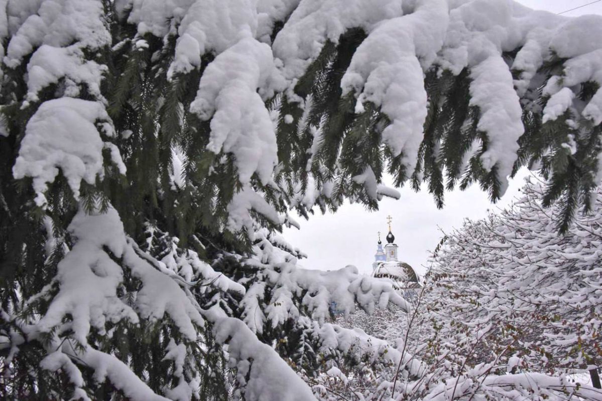 Белгородцы станцуют ламбаду с Дедом Морозом и попробуют бесплатный глинтвейн