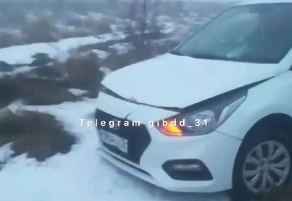 В Белгородской области машина насмерть сбила женщину