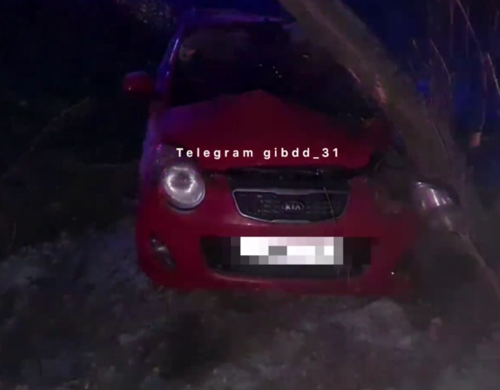 В Белгородской области машина с женщиной влетела в дерево