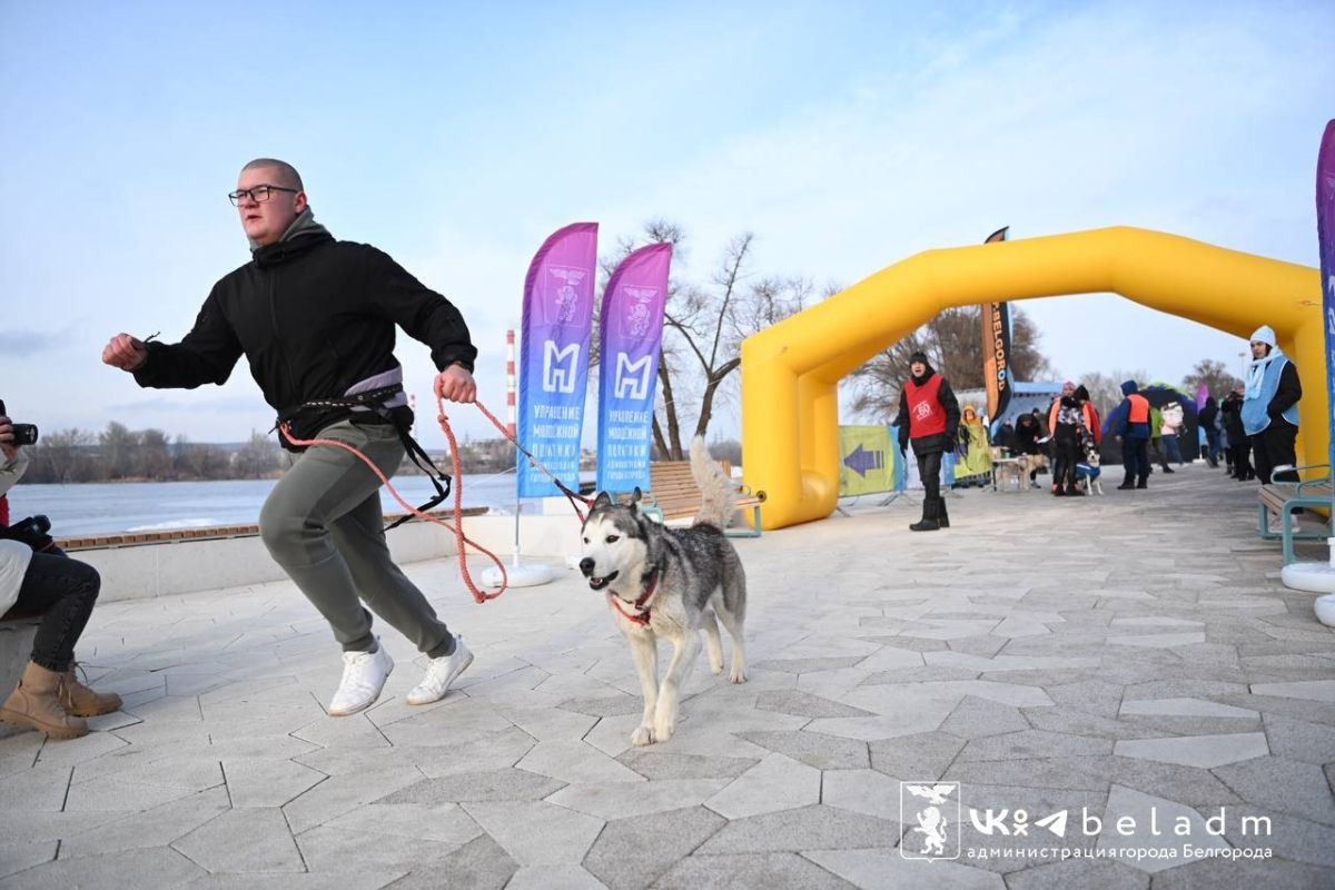 В Белгороде состоялся забег «Хаски-trail»