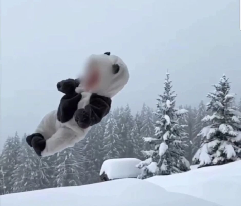 Популярный блогер кинул младенца в&nbsp;снег ради видео