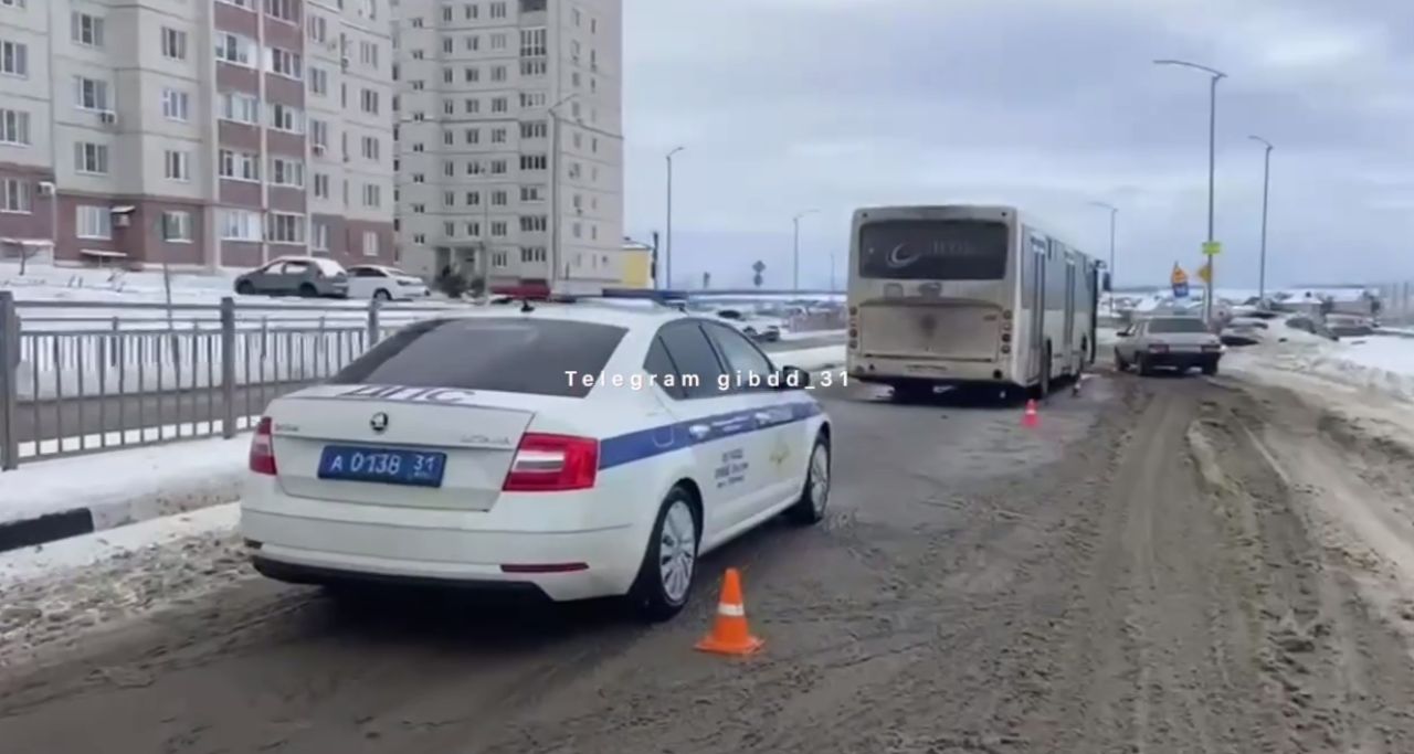 В Губкине легковушка попала под автобус