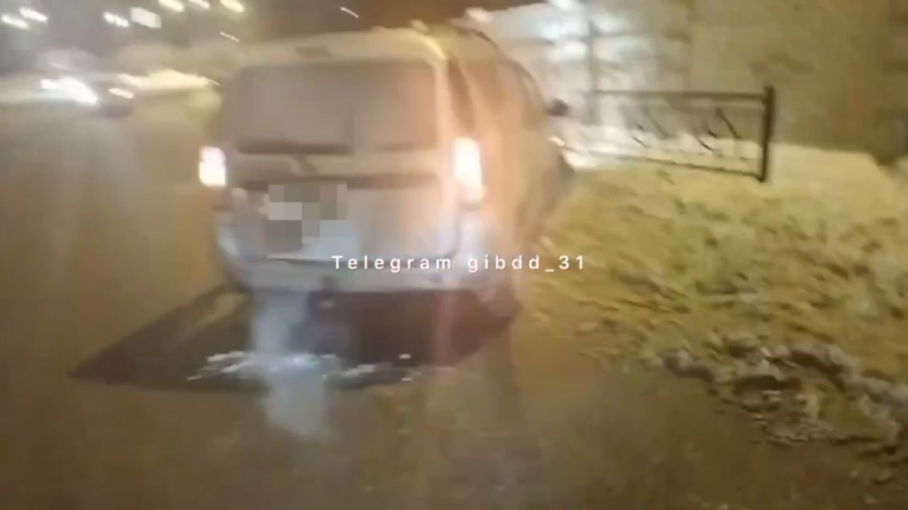 В Белгороде женщина переходила дорогу в неположенном месте и попала под машину