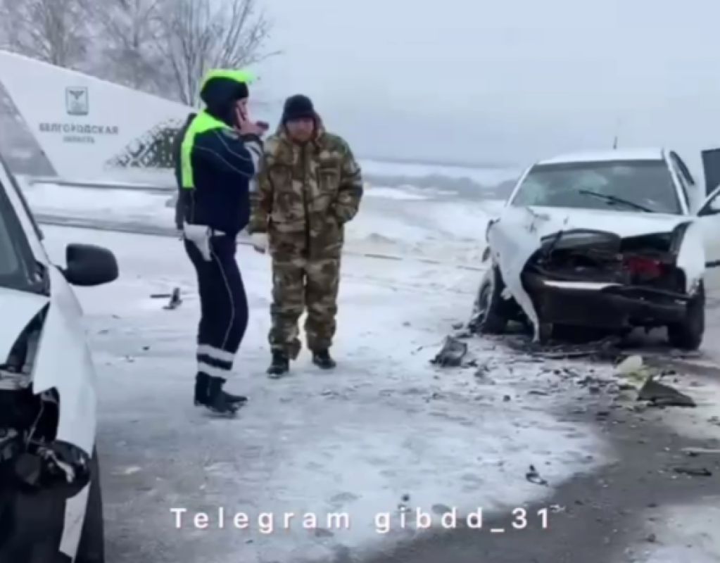 Две машины столкнулись возле границы Белгородской и Воронежской областей