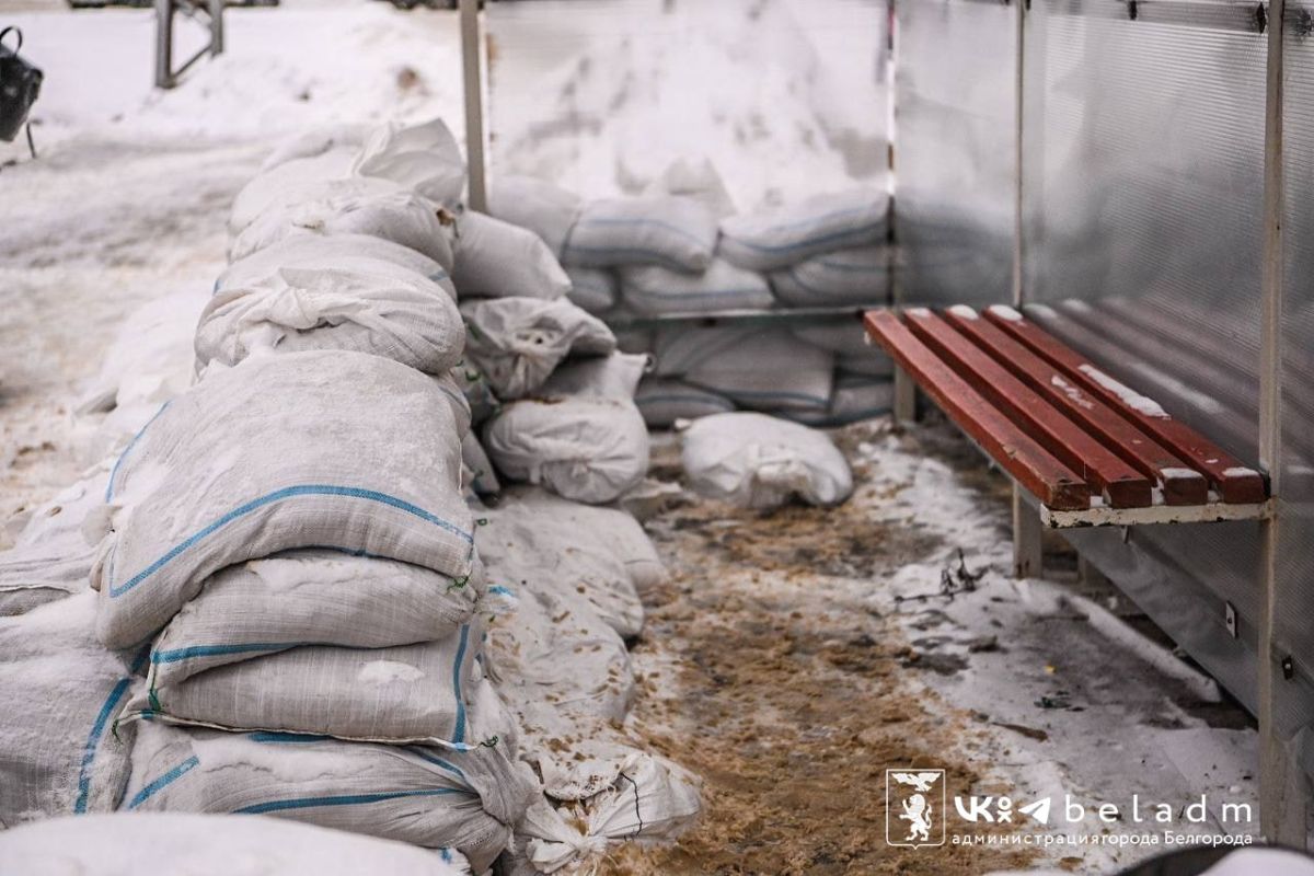 расследование иллюстрация. игра коты на поляне на телефоне. найди по следам времени. следы ботинок на песке. найди по следам времени.