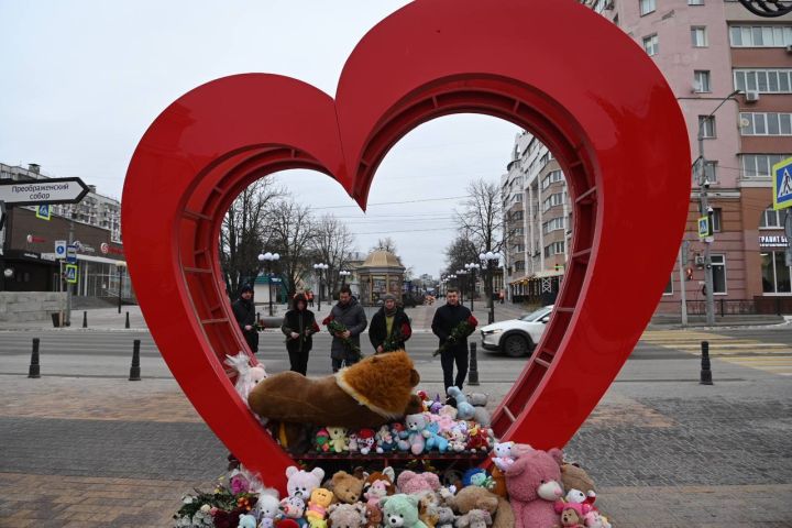 В Белгороде может появиться памятник женщине, закрывающей детей от обстрелов
