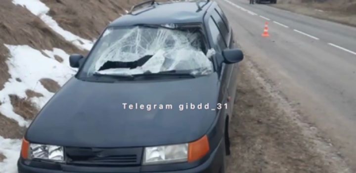 В Белгородской области машина сбила женщину